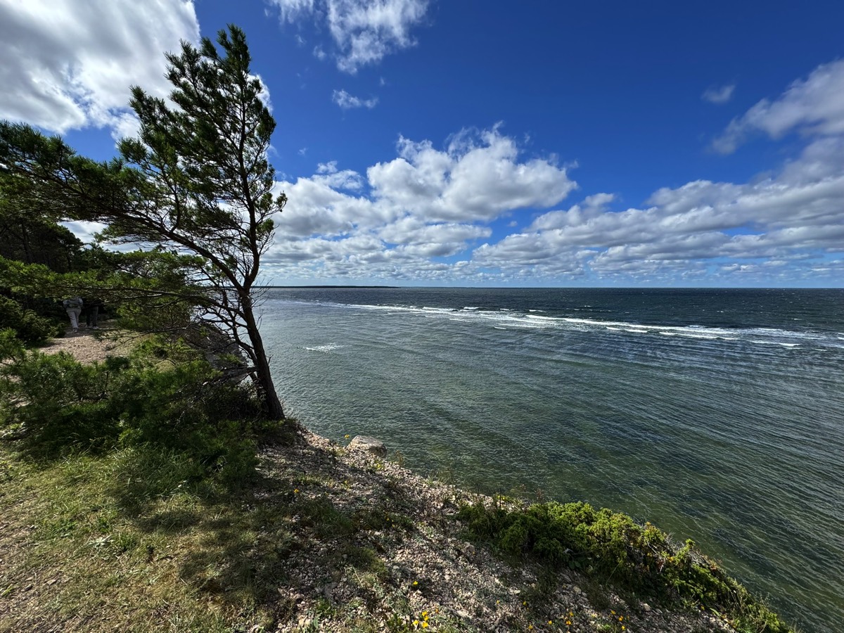 Stacks Image 920