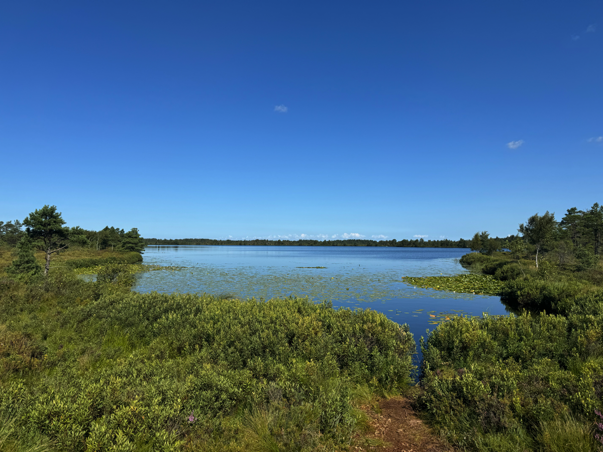 Stacks Image 908