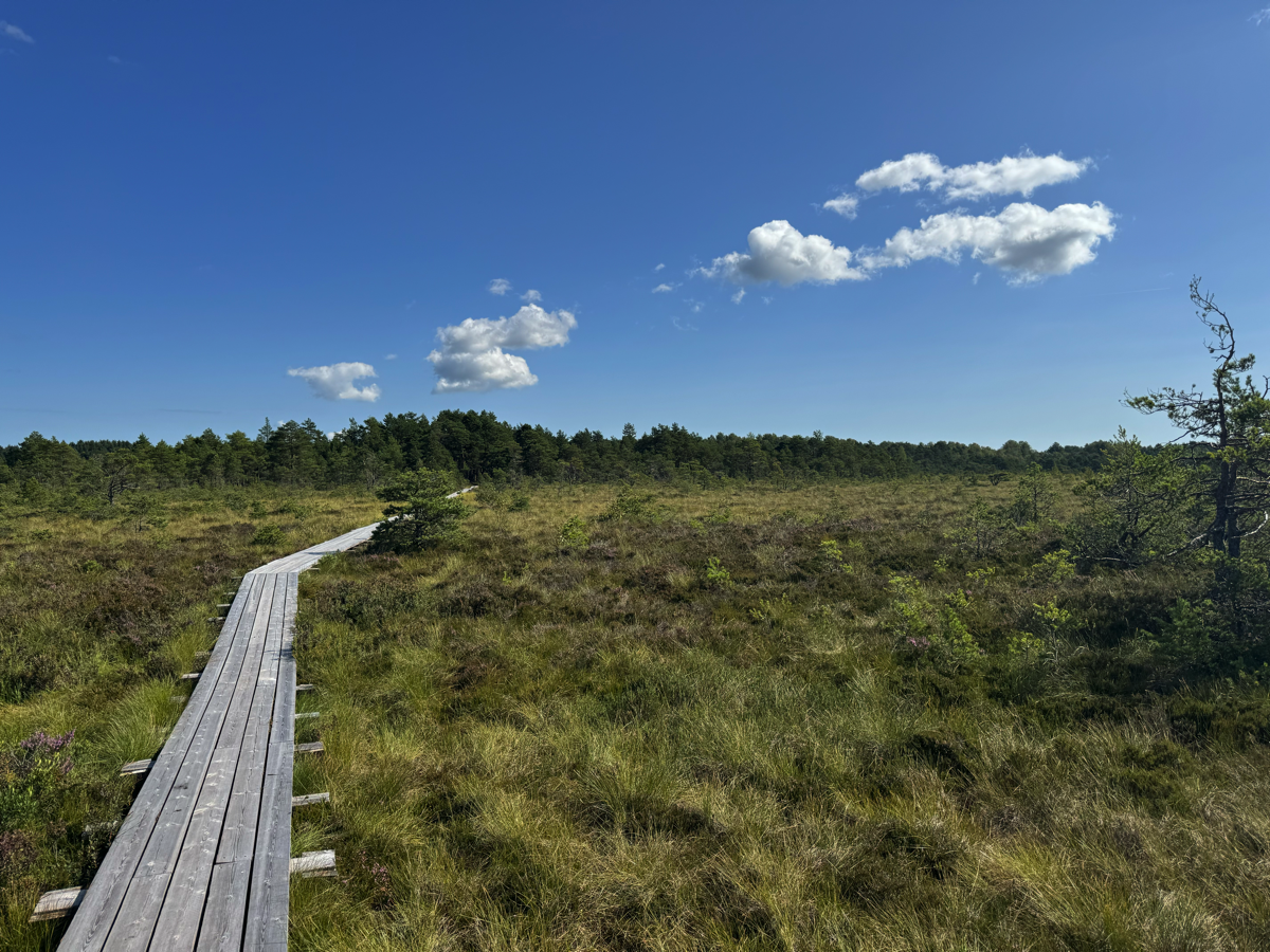 Stacks Image 906