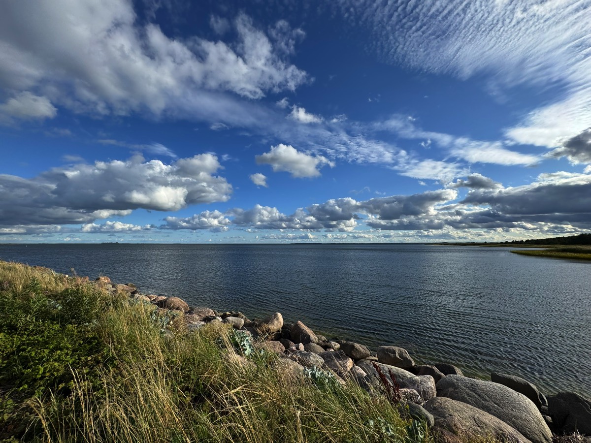 Stacks Image 926