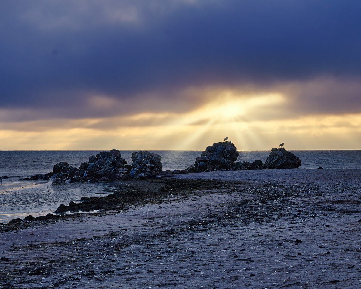Stacks Image 864
