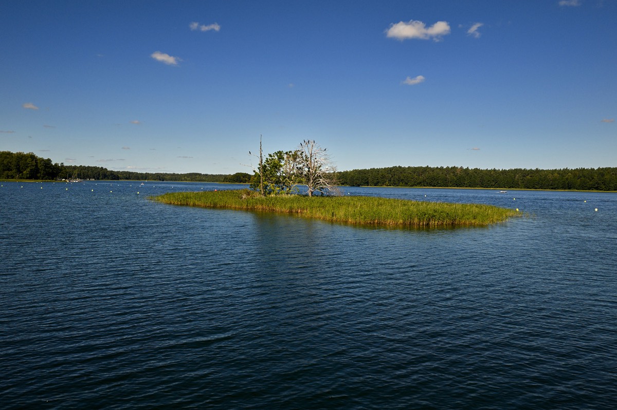 Stacks Image 998