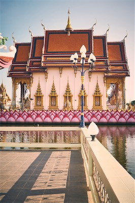 2026-03-04_Thailand_323.jpg